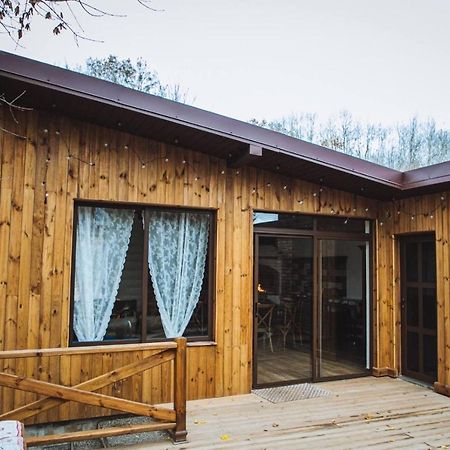 Penzion Dacha Užhorod Exteriér fotografie